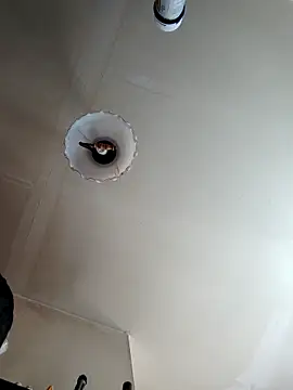 Hgay6935 网络视讯表演