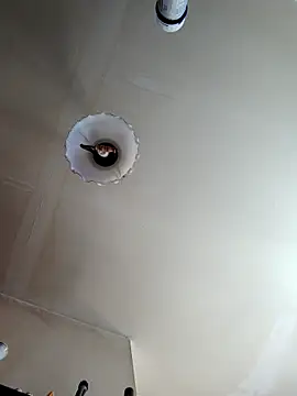 Hgay6935 网络视讯表演