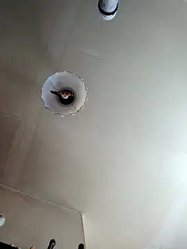 Hgay6935 在線直播表演