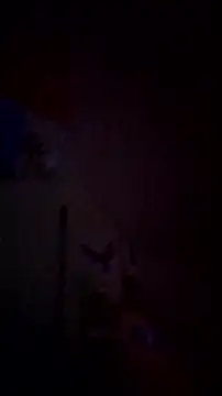 Ajhustler1@xh Obrolan Langsung XXX