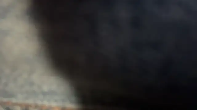 zaneporter46 Live XXX-Chat