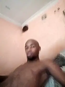 Show de webcam de LILNMS