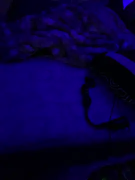 Mic_Oxinner's Live XXX Chat