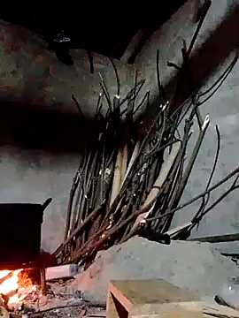 Pertunjukan Kamera Web donna-bae