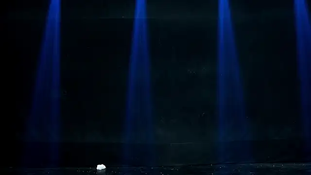 FF-01 网络视讯表演