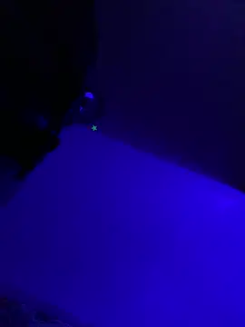 Chat +18 de Mic_Oxinner ao vivo