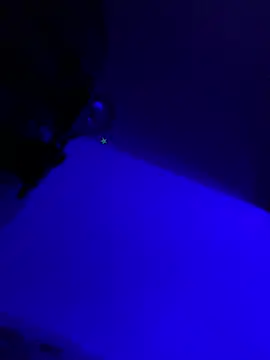 Chat XXX Live Mic_Oxinner