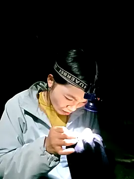 แชท XXX สดของ ngan-cute