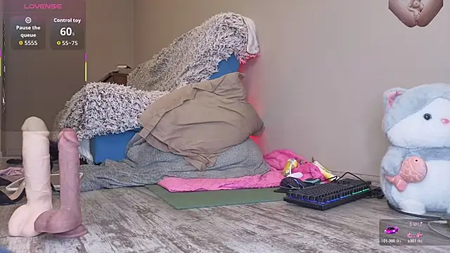 Hueaesisのウェブカメラショー