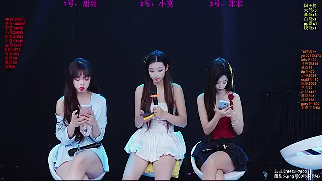 S5-55S 网络视讯表演