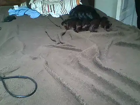 Chat XXX en directo de sherry_anne