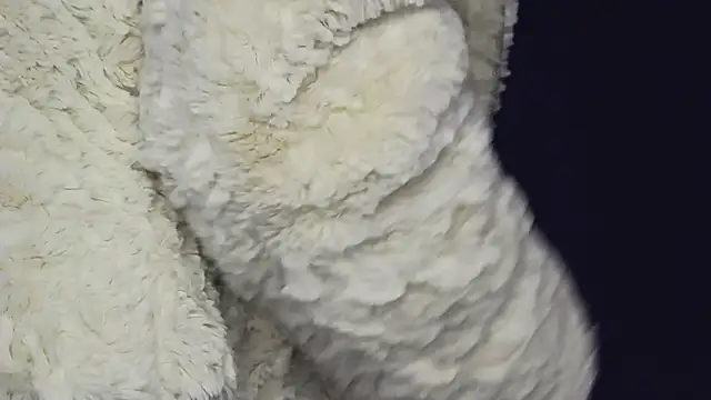 Evelisse 라이브 XXX 채팅