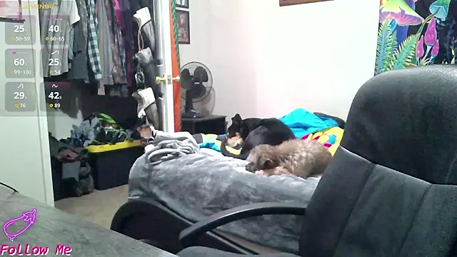 XxBobbyDigitalxX élő XXX-chatje