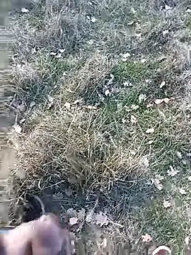 Вебкам-шоу frenchblackc31