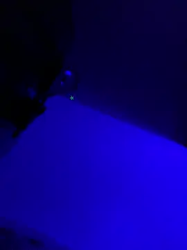 Chat XXX Live Mic_Oxinner