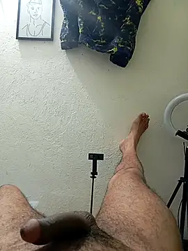 prototipoA45 现场XXX聊天