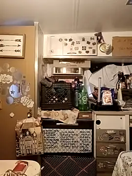 whitetrashdirtyslut's Webcam Show