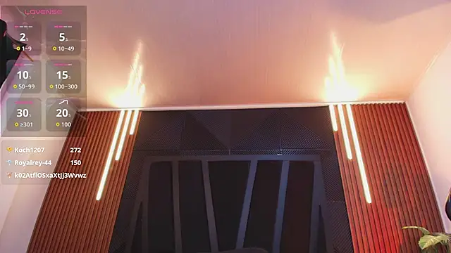 Hanna_Becker_n Webbikameraesitys