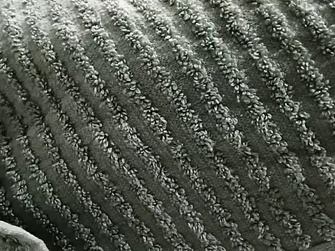 Sam_saryuuun Live XXX chat