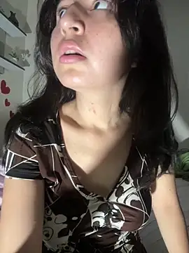 Show Webcam de Noamilk