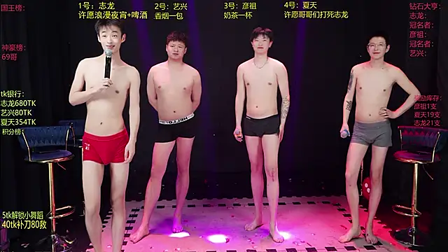 Pertunjukan Kamera Web SD-857