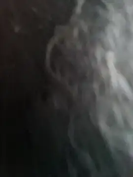 عرض كام 22orlando