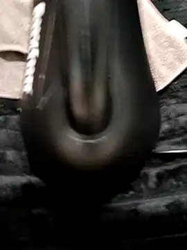 SamusAran123345n Webbikameraesitys