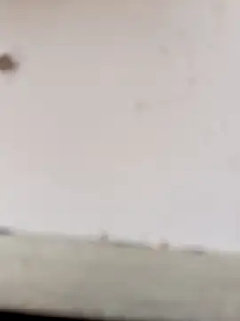 AlcorMad 网络视讯表演