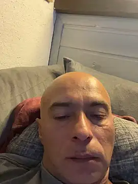 عرض كام dogfrota