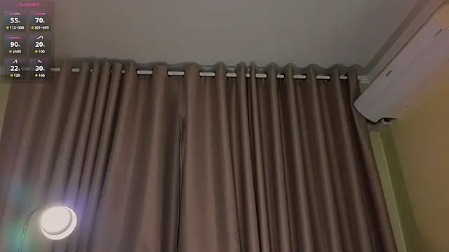 adellenen Webbikameraesitys