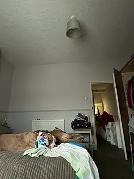 Paige_love webkamerás műsora