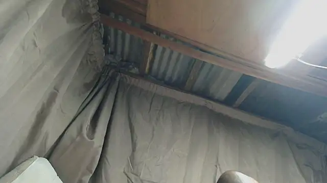 Chat XXX Live Camodick