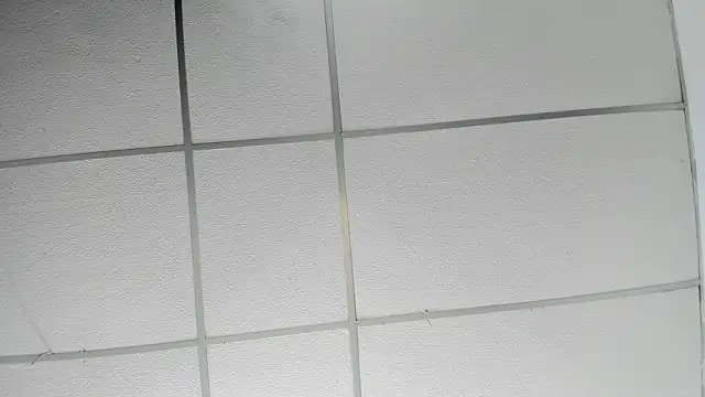 angiexht Live XXX Chat