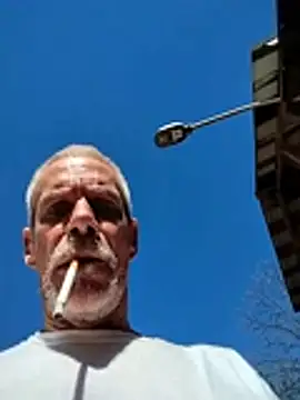 Biknight 网络视讯表演