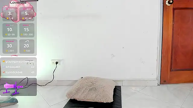 Pertunjukan Kamera Web DomenicaW