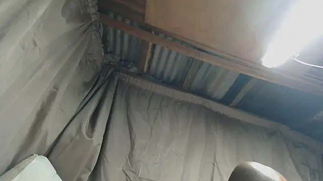 Camodick 现场XXX聊天