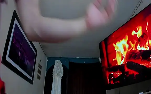 body_fox19n Webbikameraesitys