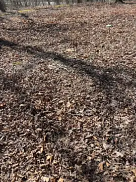 Titsandtats24 Chat XXX in diretta