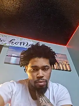 Show webcam de Painstickwes