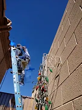 Show Webcam de FloppyPickle4u