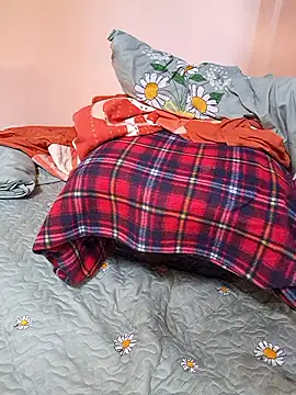 Ansiasex: вебкам-шоу