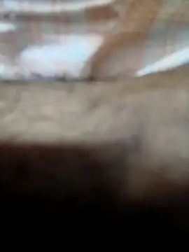 XXX chat uživo modela adicma123