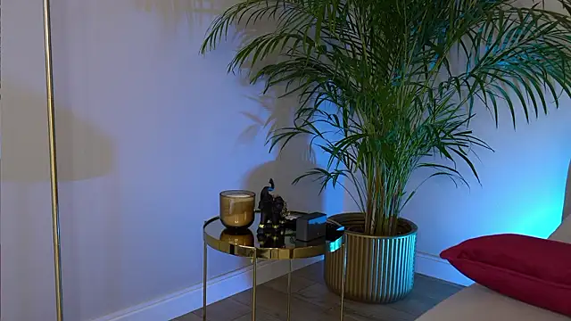 Tinydoll_XO Webcam show