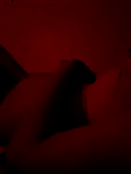 Živý XXX chat Sruthitelugugirl