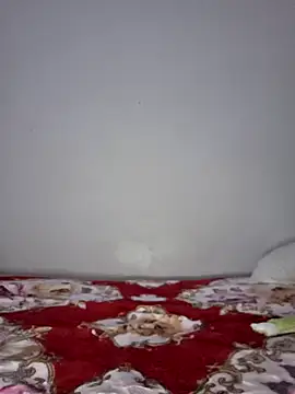 altinyaのウェブカメラショー