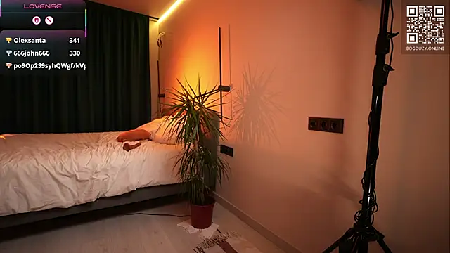 Show Webcam de bogduzy