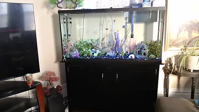 EspanolVato's Webcam Show