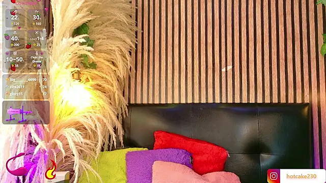 Hiddenhotcake Webcam Show