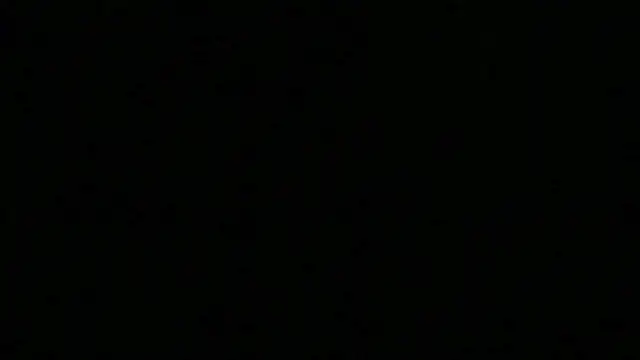 VannaMusk 웹캠 쇼