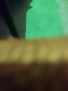 King_night1: διαδικτυακό σόου στην κάμερα